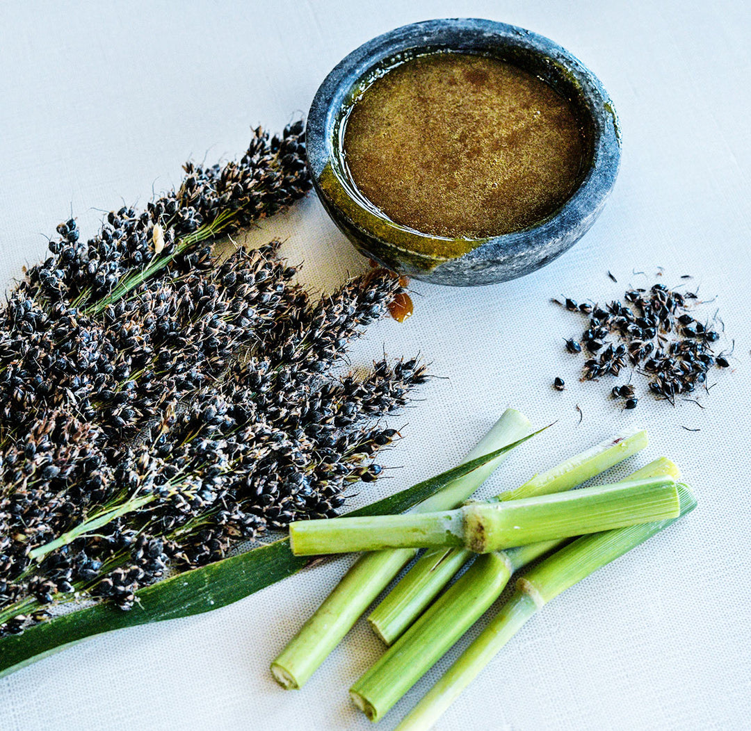 Seeds and cane from Black Amber Sorghum with a stone bowl full of syrup on a linen background.