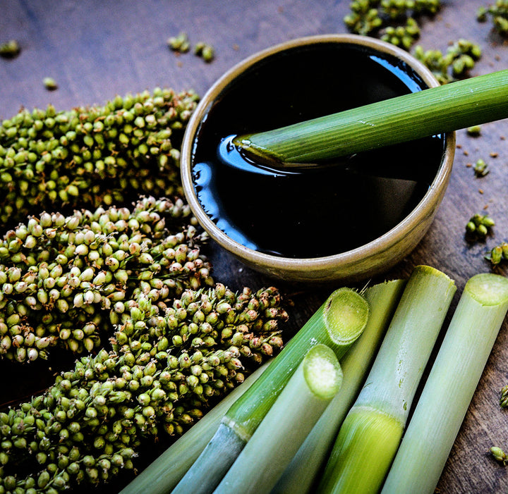 Yellow Bonnet Sorghum seeds with canes and sorghum syrup in a bowl on a wood background.