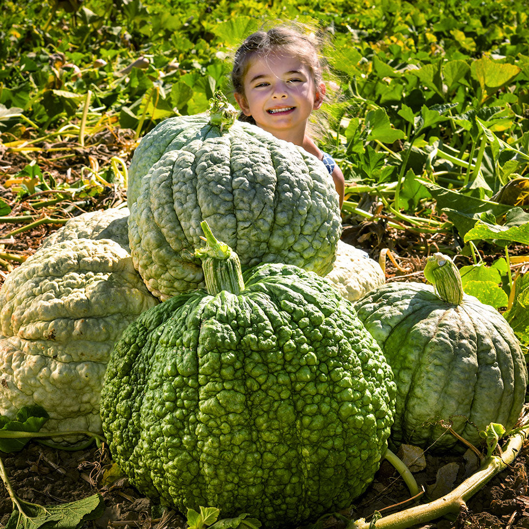 A smiling girl peaks out from behind a pile of Crespo Winter Squash in the Baker Creek trail farm in California.