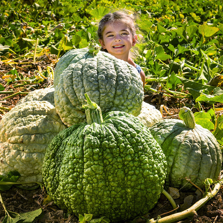 A smiling girl peaks out from behind a pile of Crespo Winter Squash in the Baker Creek trail farm in California.