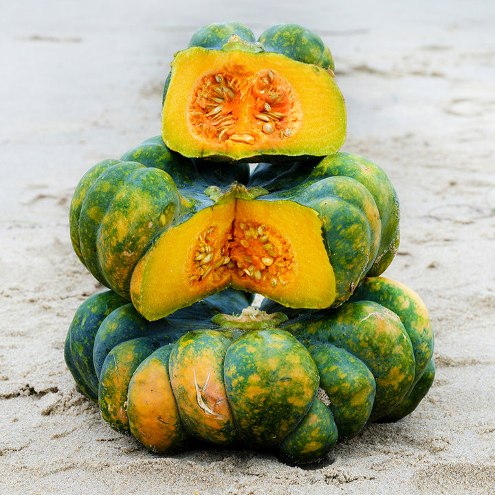 Cut and whole Dark Green Yuxi Jiang Bing Gua Squash in the winter phase stacked on the beach sand.