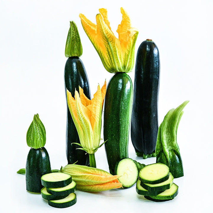 Inizia Summer Squash with blooms and slices stacked up on a white background.