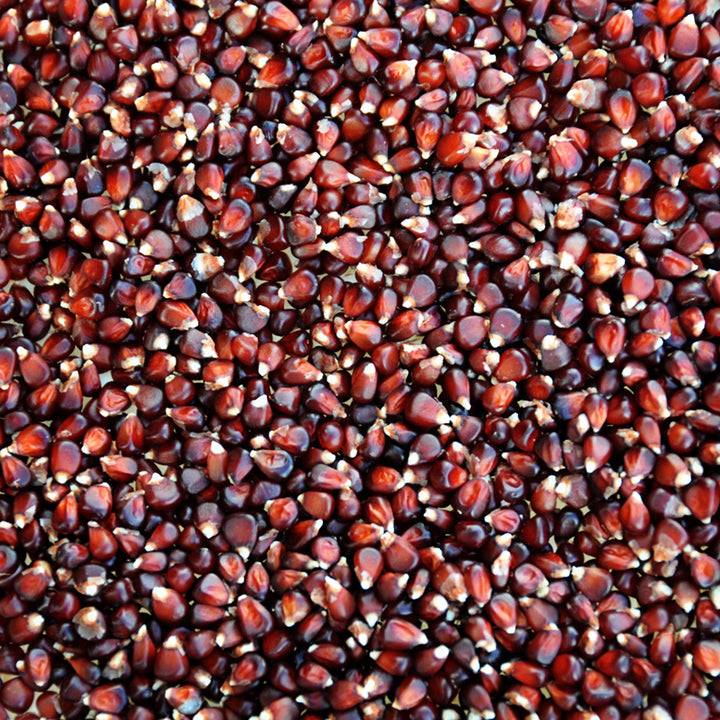 Chires Baby Corn kernels.