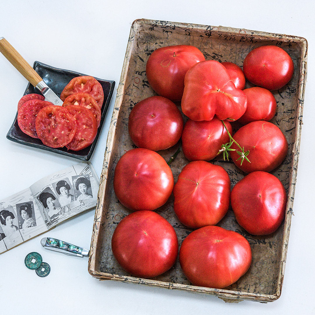 A basket full of Aichi First Tomatoes with tomato slices on a plate with Japanese props on a white background.