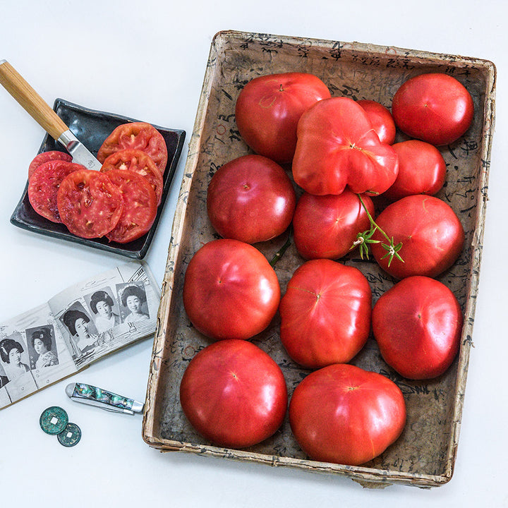 A basket full of Aichi First Tomatoes with tomato slices on a plate with Japanese props on a white background.