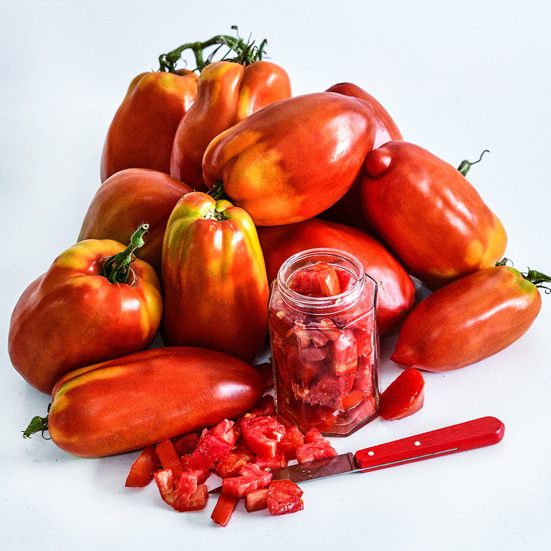 Tomato Seeds, Palemeno