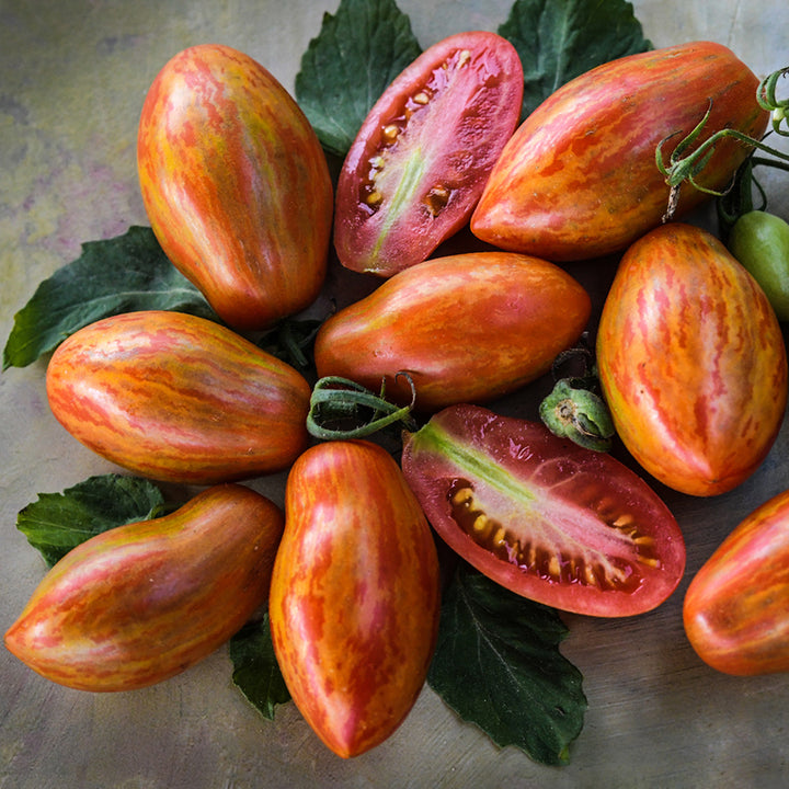 Close-up of cut and whole Prairie Fire Tomatoes on pastel background with leaves.
