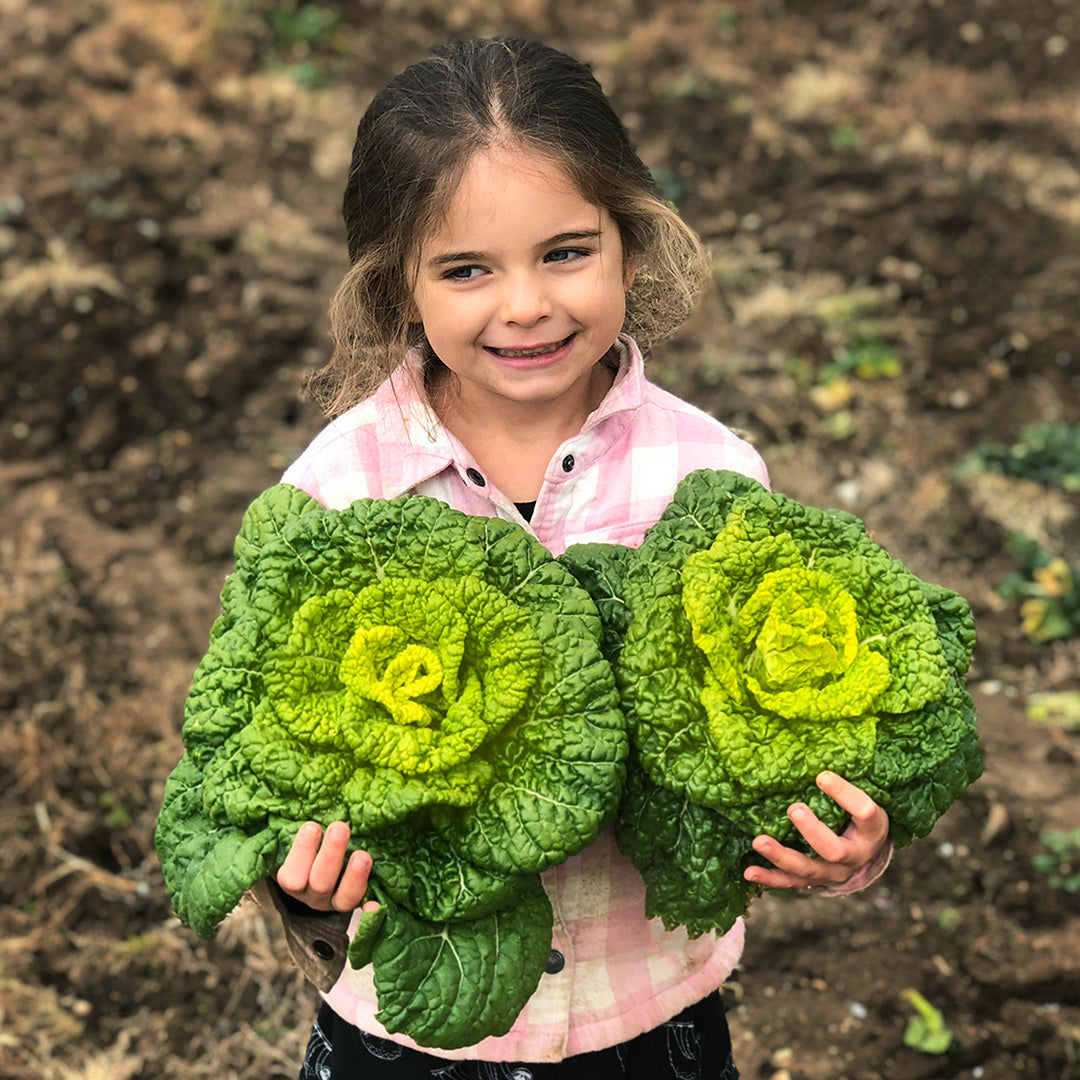 A smiling little girl holds two heads of Yellow Heart Winter Choy in a fallow field at Baker Creek during winter.