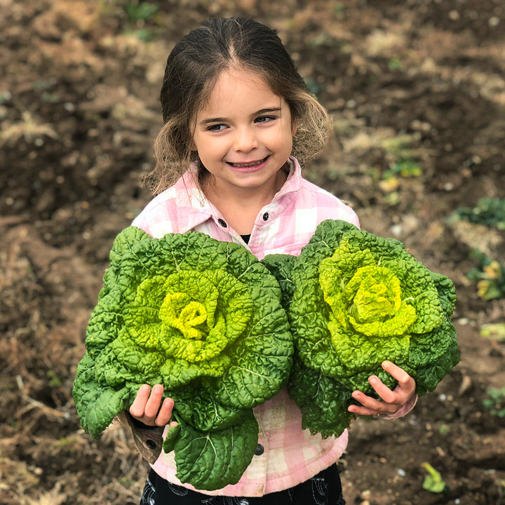A smiling little girl holds two heads of Yellow Heart Winter Choy in a fallow field at Baker Creek during winter.