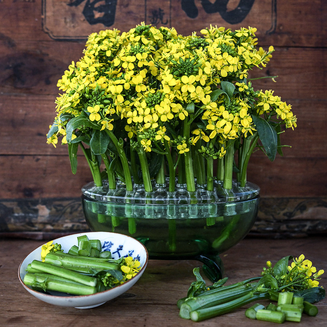 50-Day Choy Sum arranged in a vase with a bowl of chopped stems and leaves on a wooden background.
