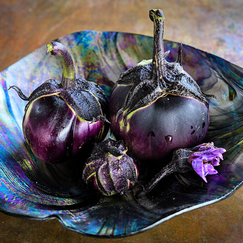 Nagaoka Kinchaku Eggplant in decorative bowl with bloom.