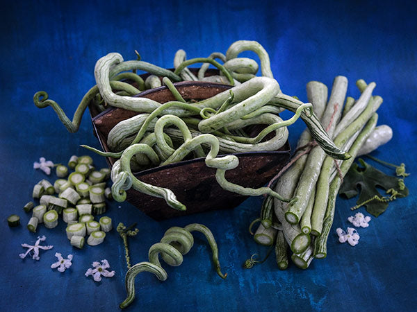 Young Chinese Python Snake Beans arranged on blue backdrop.