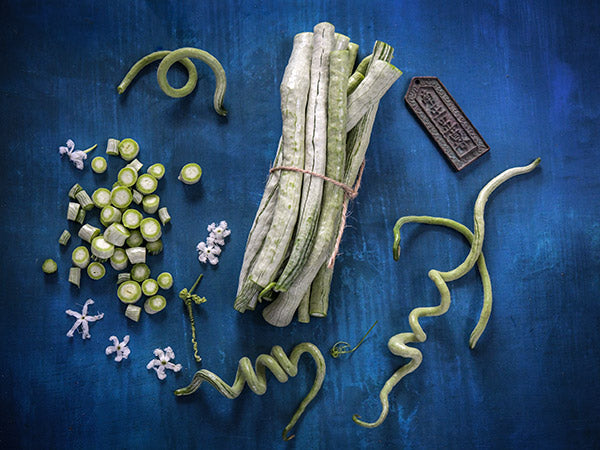 A bundle of Chinese Python Snake Beans surrounded by chopped beans, whole beans and blooms.