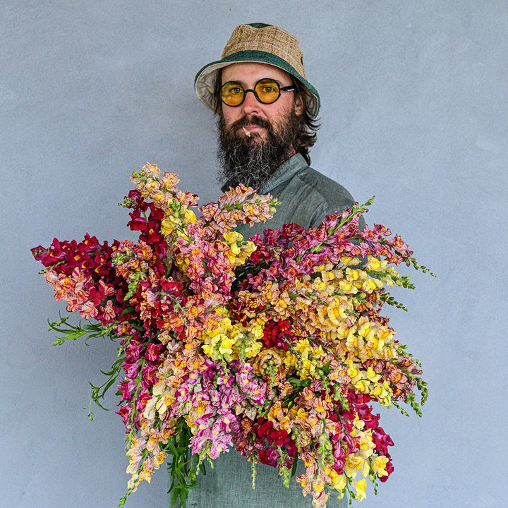 A Baker creek employee holding a large bouquet of Bizarre Mixed Snapdragons.