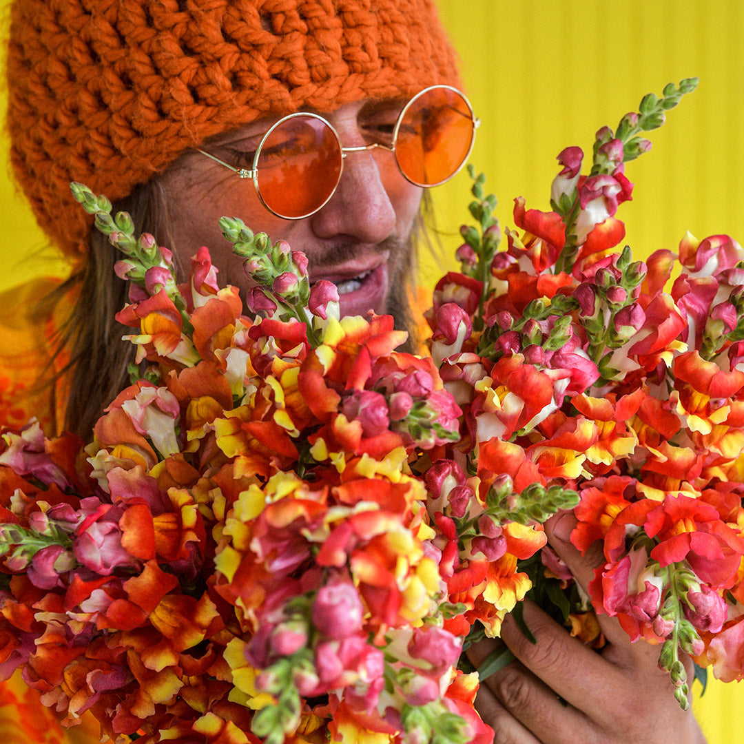 Ryan has a deep conversation with a bunch of Rembrandt Snapdragons while wearing orange glasses on yellow.