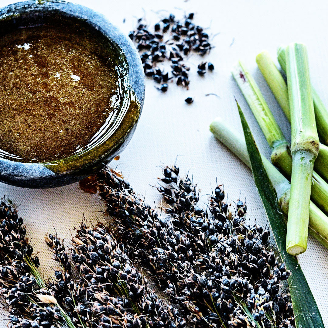 A close-up look at Black Amber Sorghum seeds and cane with a side of sorghum syrup on a linen background.