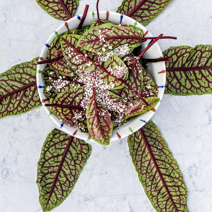 A close-up of a Bloody Dock Sorrel salad in a striped bowl with vegan cheese crumbles and vinaigrette dressing.