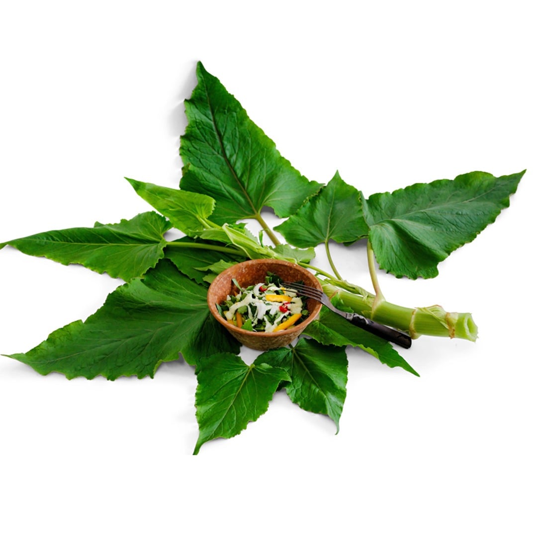 Sorrel gabonese leaves with a small salad in a bowl on a white background