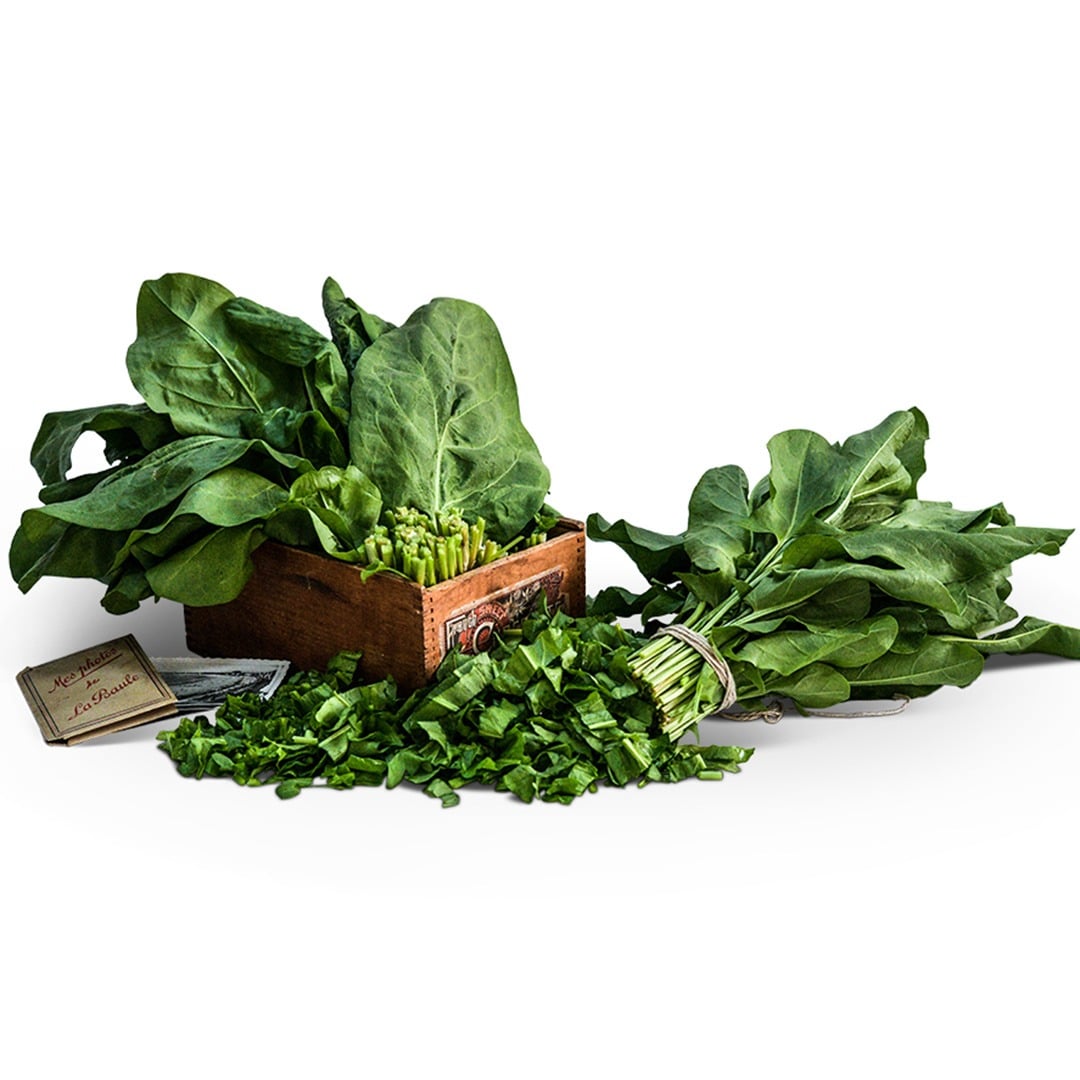 Green De Belleville sorrel leaves in a wood box and chopped leaved surround with a white background