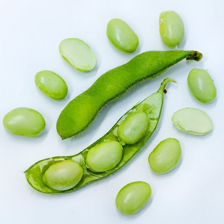 A close-up of Chiba Green Soybeans on a white background.