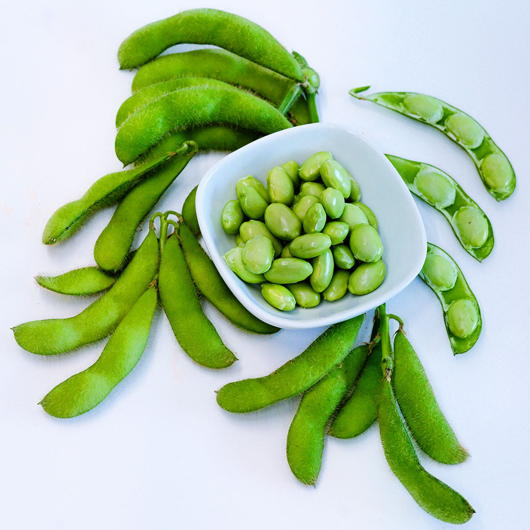 Midori Star Soybeans in a white bowl surrounded by pods on a white background.