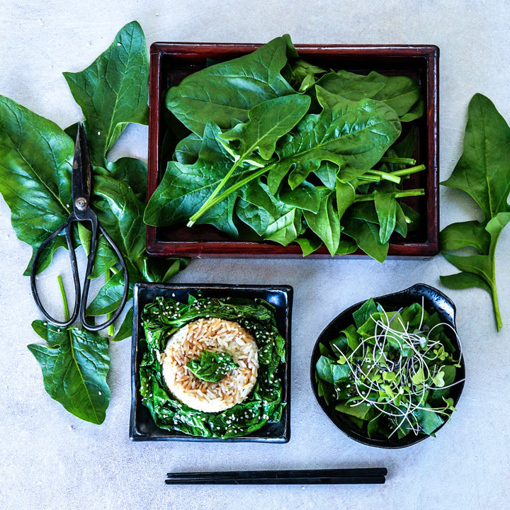 Jiromaru Spinach leaves in a box, sauteed over rice and as a salad arranged on light background.