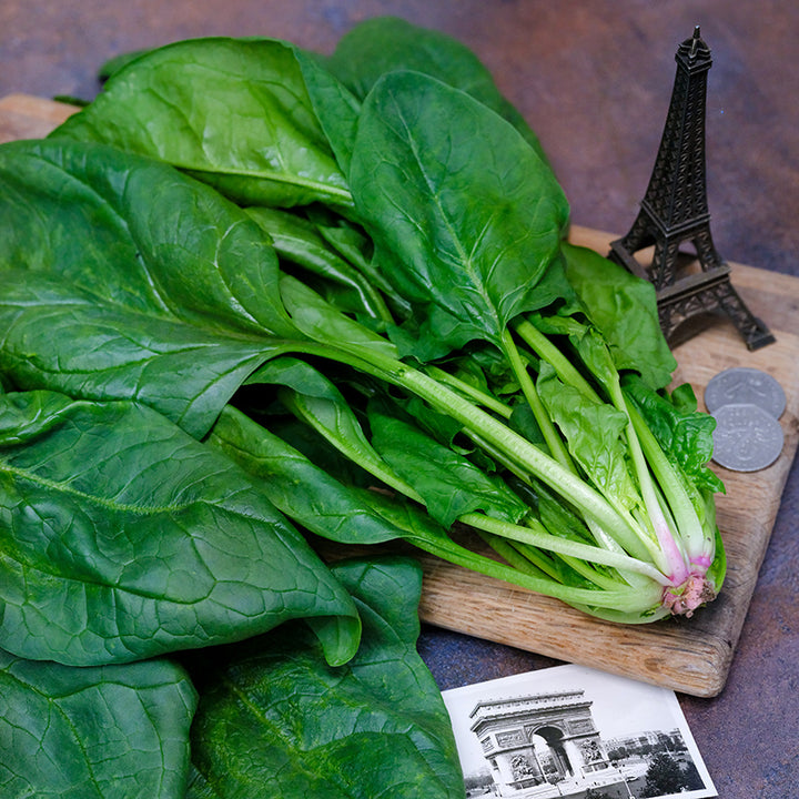 Monstrueux De Viroflay Spinach on a wood board with a mini Eiffel Tower and French postcard.