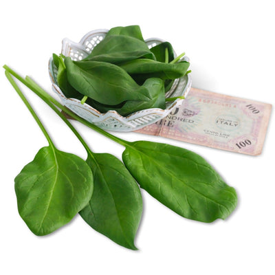 Spinach Seeds, Gigante d' Inverno