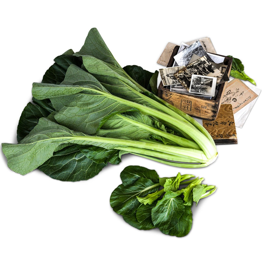 A head of Spinach Mustard "Old Tokyo" Komatsuna with a wooden box of vintage Japanese pictures.