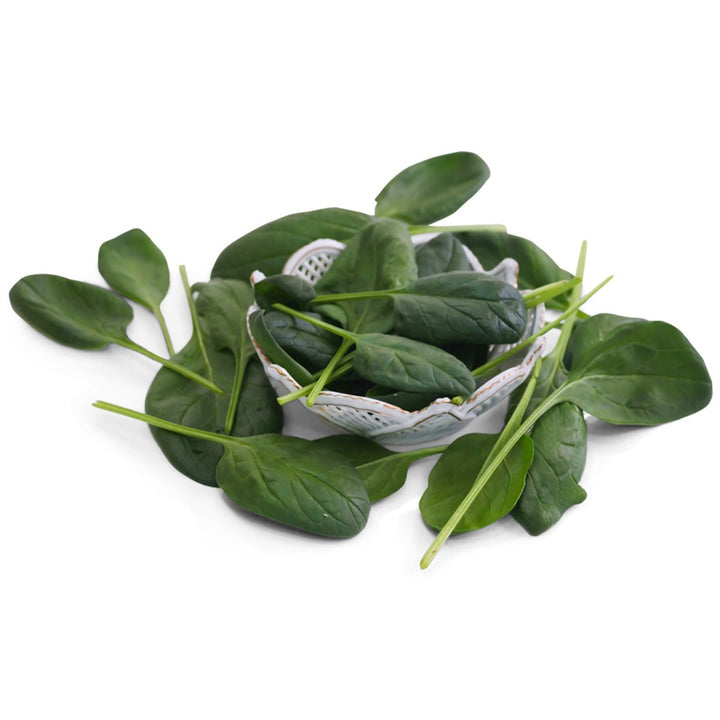 Monnopa Spinach leaves in a white dish on a white background.