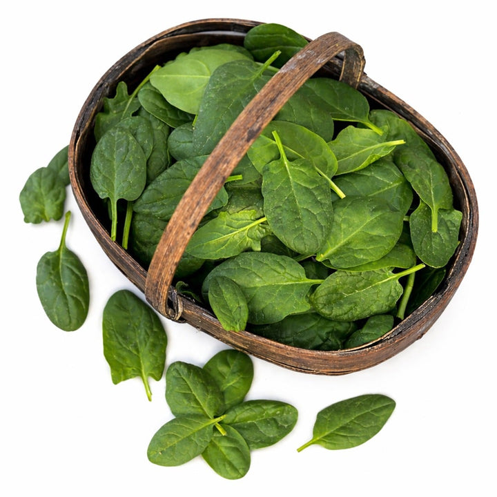 Monnopa Spinach leaves in a wicker basket on a white background.