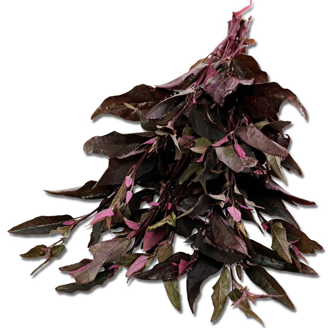 Orach Red Spinach leaves on a white background.