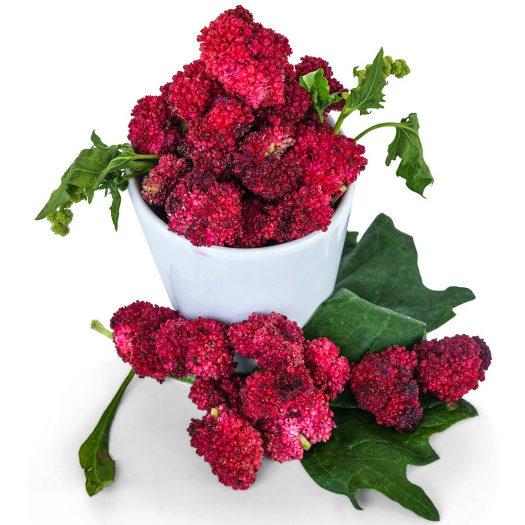 Strawberry Spinach in a white dish and surround on a white background.