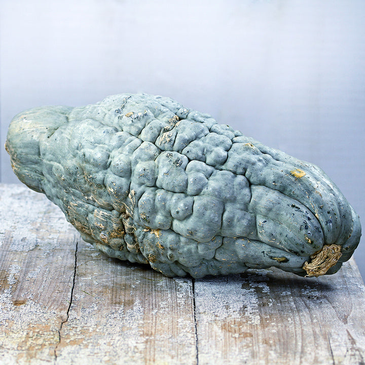 An enormous Blue Hubbard Winter Squash on a weathered wood table against a light background.