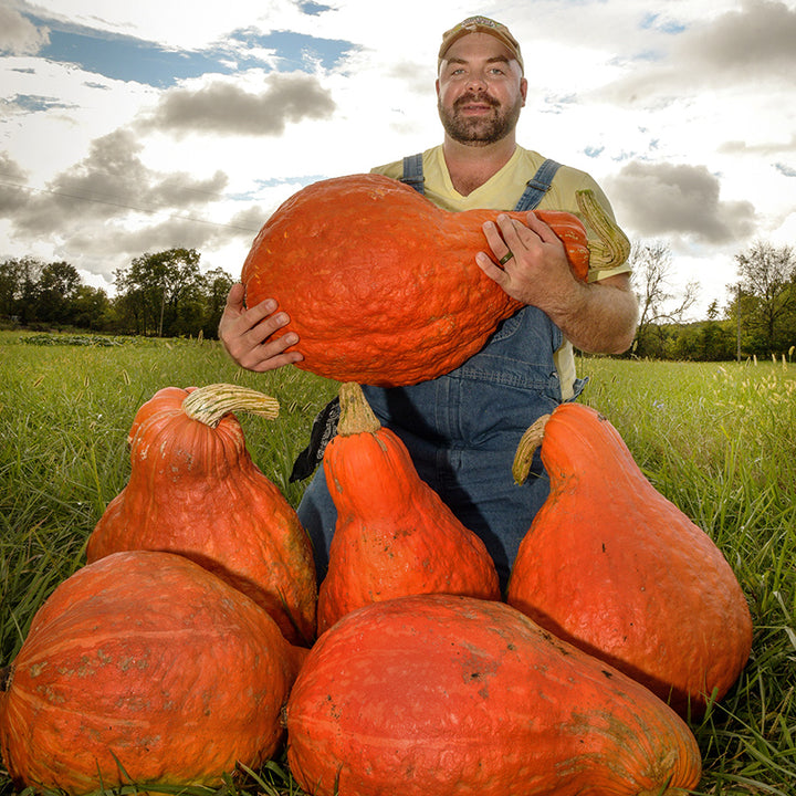 Baker Creek General Manager with a pile of Boston Marrow Winter Squash at the Baker Creek farm in MO.