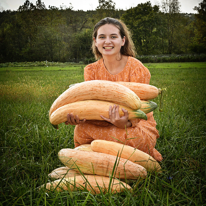 A smiling girl holding an armful of Candy Roaster - North Georgia Winter Squash in a field.