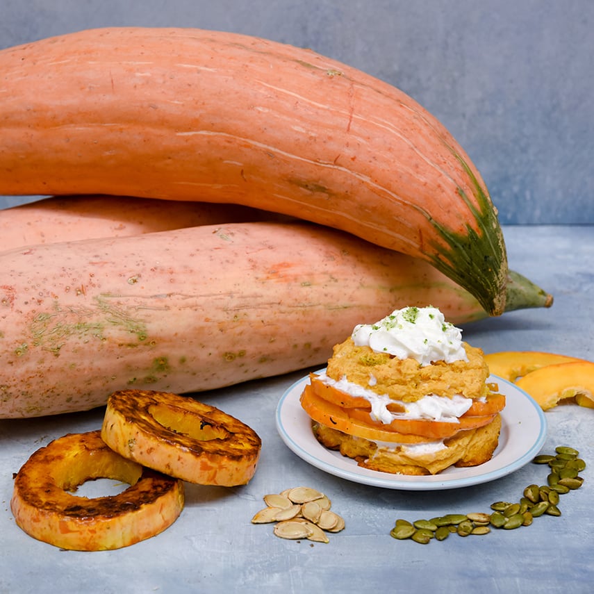 Candy Roaster - North Georgia Winter Squash with a recipe on a plate on a light blue background.