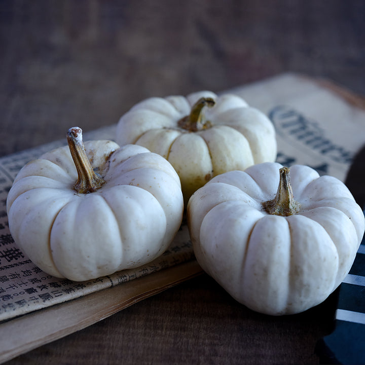 A trio of Chinese Miniature White Winter Squash resting on a Chinese newspaper.