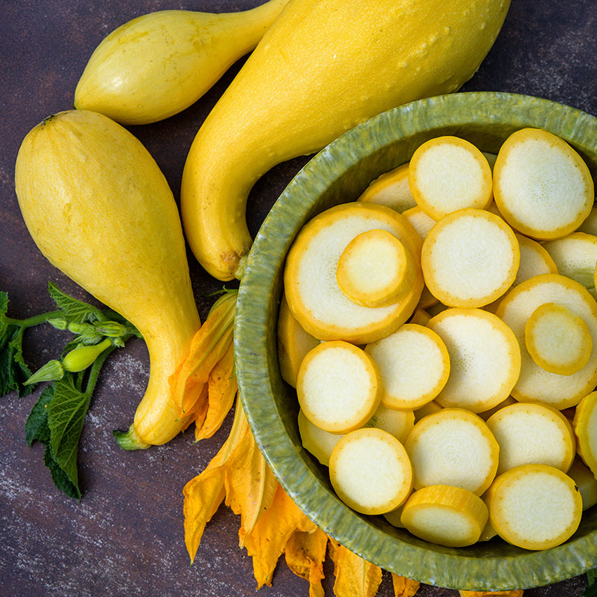 Crookneck Early Golden Summer Squash with a bowl full of slices on a rustic background.