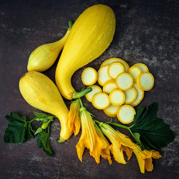 A trio of three Crookneck Early Golden Summer Squash with slices, blooms and leaves on a rust background.