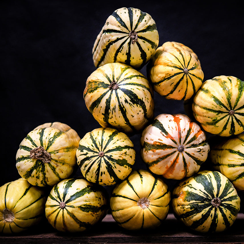Delicata Winter Squash stacked up on a table against a black background.