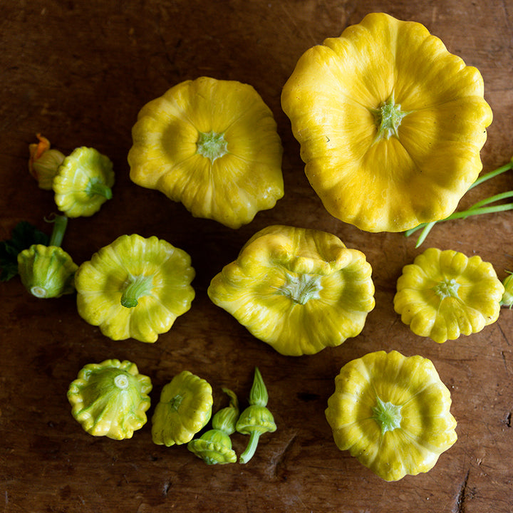 An overhead view of various sized Gelber Englischer Custard Summer Squash arranged on wood background.