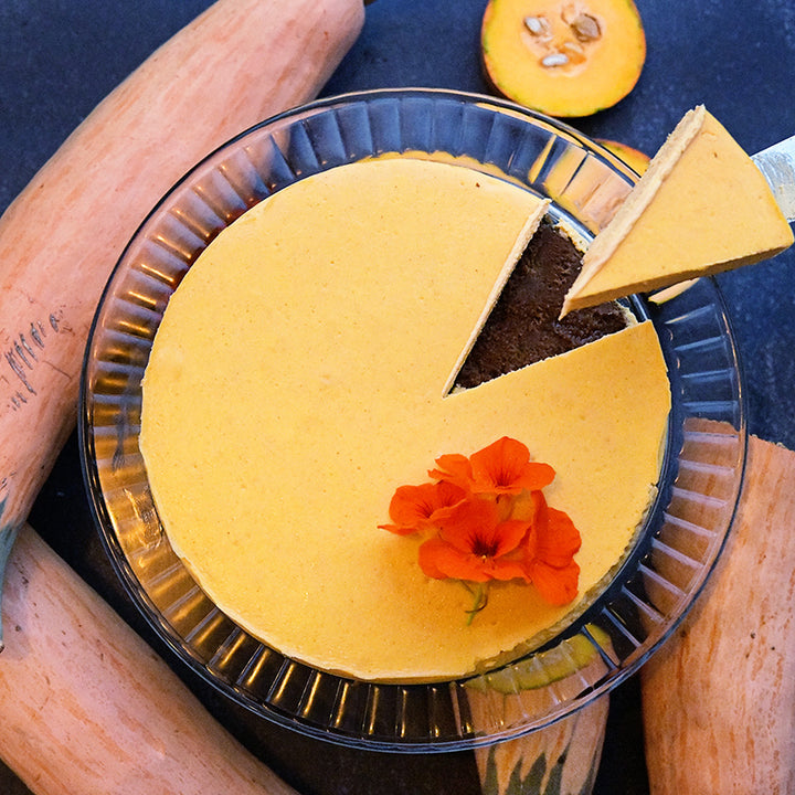 Candy Roaster - North Georgia Winter Squash cheesecake surrounded by squash.