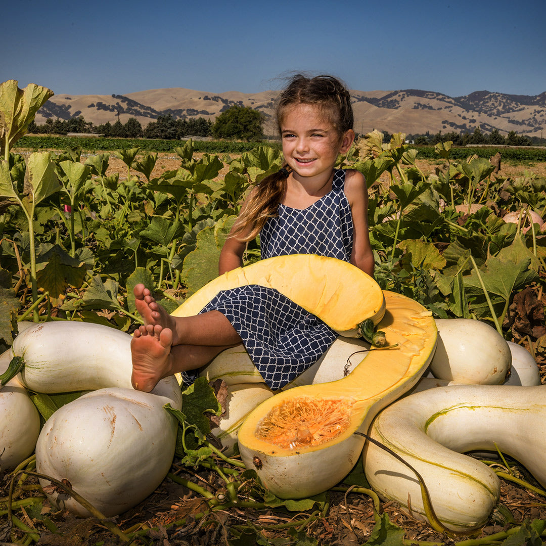 A smiling little girl sitting on a pile of Illinois Squash in the Baker Creek trial squash field in California.