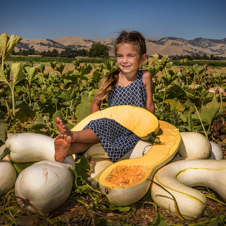 A smiling little girl sitting on a pile of Illinois Squash in the Baker Creek trial squash field in California.