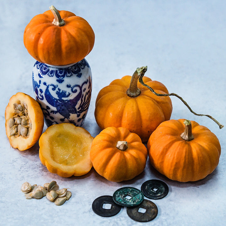 Jack Be Little Pumpkins with coins and tiny vase on light background.