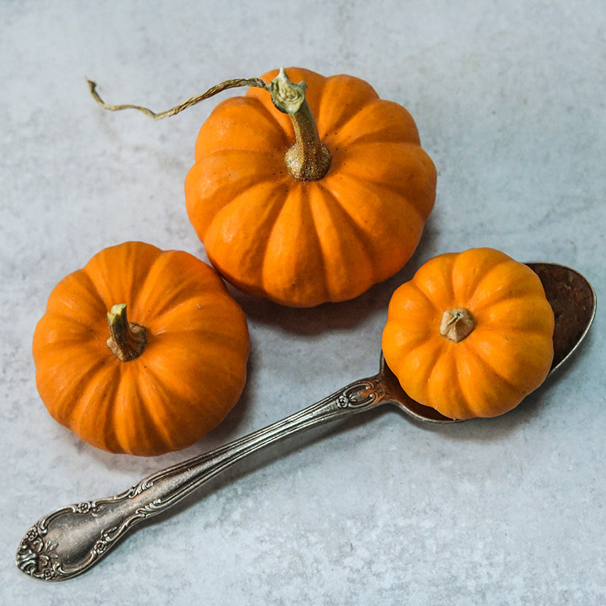 A trio of Jack Be Little Pumpkin Winter Squash with a spoon on a light background.