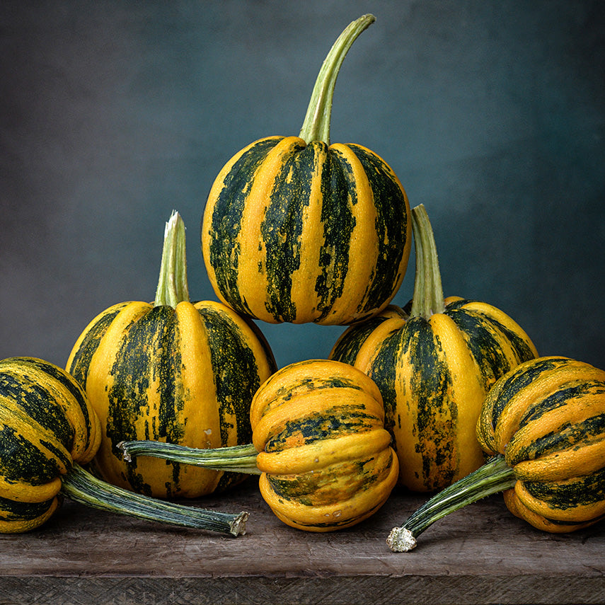 A stack of Kamo Kamo Squash at the winter squash stage of maturity on wood against a blue background.