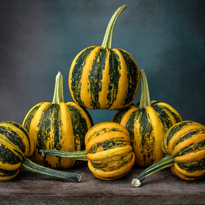 A stack of Kamo Kamo Squash at the winter squash stage of maturity on wood against a blue background.