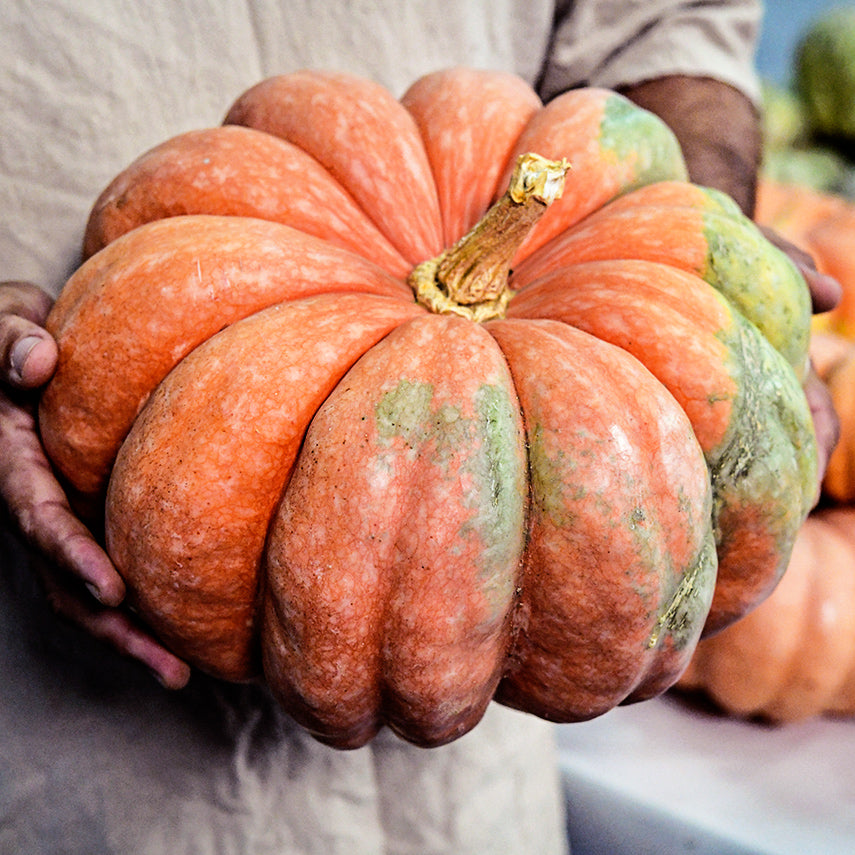 Man holding a Moranga Winter Squash at the annual National Heirloom Exposition.